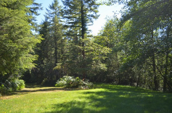 Trails I used to ride...